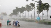 16 giờ ngày 5-11, bão số 10 mạnh cấp 8, giật cấp 10 ngay trên vùng biển từ Quảng Ngãi đến Khánh Hòa