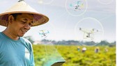 Một nông dân Thái Lan sử dụng các phần mềm tưới cây bằng drone