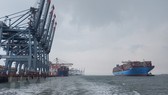 Bà Rịa - Vũng Tàu: Hàng hóa container qua cảng biển tăng 38%