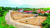 Bà Rịa - Vũng Tàu: Kiểm tra việc xây dựng và phân lô đất nông nghiệp