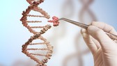 WHO khuyến nghị về chỉnh sửa bộ gen người