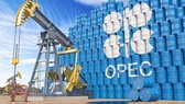 OPEC xúc tiến bổ nhiệm Tổng Thư ký mới