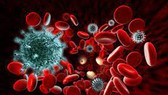 Ghi nhận biến thể mới của virus HIV tại Hà Lan