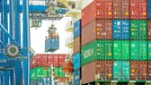 Xếp hàng container lên tàu xuất khẩu  tại cảng Cát Lái. Ảnh:  HOÀNG HÙNG
