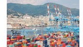 Vụ nghi lừa đảo xuất khẩu nhân điều sang Italy: Đã giữ tại cảng 16 container