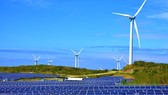 IEA dự báo năng lượng điện tái tạo tăng kỷ lục