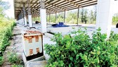 Một góc bến cá Tân Phụng đầu tư hơn 26 tỷ đồng trong cảnh đìu hiu, lãng phí