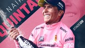 Nairo Quintana lần đầu tiên khoác lên mình chiếc Áo hồng danh giá ở Giro d’Italia 2017.