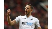 Everton muốn “rút ruột” Swansea