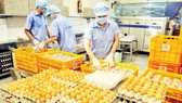 Chế biến trứng gà cung ứng hàng bình ổn thị trường tại Công ty Vĩnh Thành Đạt. Ảnh: CAO THĂNG