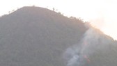 Hình ảnh cháy rừng tại Vườn Quốc gia Tam Đảo. Ảnh: TTXVN