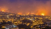 Bồ Đào Nha nhờ châu Âu hỗ trợ dập tắt cháy rừng