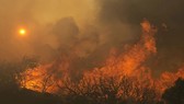 Thêm nhiều người chết trong thảm họa cháy rừng ở Mỹ