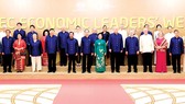 Chủ tịch nước Trần Đại Quang gặp song phương với lãnh đạo các nền kinh tế APEC
