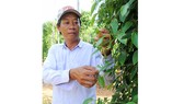 Tăng cường định vị  thương hiệu thực phẩm Việt
