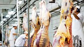 Australia hỗ trợ Việt Nam cải tiến ngành chế biến thịt