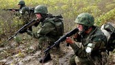Một tiểu đoàn đổ bộ-tấn công của Nga trong cuộc tập trận Vostok-2014. Ảnh: TASS
