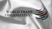 WTO giải quyết tranh chấp liên quan đến thuế nhập khẩu Mỹ 