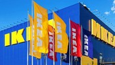 Gia đình người sáng lập IKEA giàu nhất Thụy Sĩ
