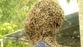 Kỷ lục cho 60.000 con ong bu kín mặt