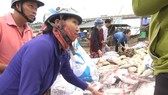 Cá bè trên sông La Ngà chết hàng loạt khiến nhiều gia đình nuôi cá điêu đứng