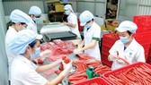 Nhiều doanh nghiệp bình ổn đạt doanh thu cao