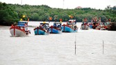 Tàu cá tại cảng thị trấn Cần Thạnh, huyện Cần Giờ, TPHCM. Ảnh: CAO THĂNG