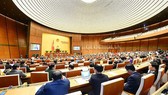 Đề cao tiến độ, tính khả thi các dự án luật