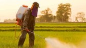 Thái Lan cấm 3 hóa chất nông nghiệp độc hại