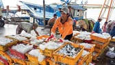 Đề nghị EC sớm gỡ bỏ “thẻ vàng” cho thủy sản của Việt Nam