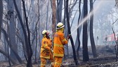 Australia ban bố tình trạng khẩn cấp do cháy rừng