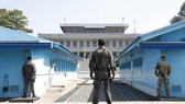 Căng thẳng hai miền Triều Tiên tại khu phi quân sự 