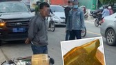 Tạm giữ người chở rắn hổ chúa 20kg mua từ Campuchia