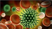 Phát hiện biến chủng mới của virus Sars-CoV-2
