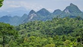 5 triệu USD quản lý bảo tồn đa dạng sinh học ở Quảng Bình 