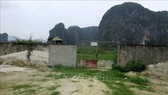 Khu vực thuộc Dự án Nhà máy Xi măng Thanh Sơn hiện trạng là bãi đất hoang, cây cỏ mọc um tùm. Ảnh: TTXVN