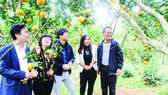 Khách tham quan một mô hình sản xuất nông nghiệp hiệu quả ở huyện Vũ Quang, tỉnh Hà Tĩnh