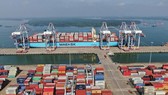 Bà Rịa - Vũng Tàu: Hàng container qua cảng biển tăng 11%