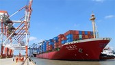 Tàu cập cảng Tân Cảng-Cái Mép Thị Vải, Thị xã Phú Mỹ (tỉnh Bà Rịa-Vũng Tàu). Ảnh: TTXVN