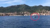 Cá voi xuất hiện trên vịnh Cam Ranh, Khánh Hòa, được người dân quay lại, chia sẻ lên mạng xã hội
