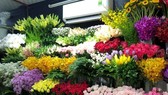 Lâm Đồng: Tăng cường nhập khẩu giống hoa có bản quyền
