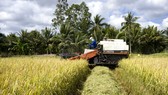 Nâng tầm nông sản Việt