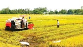 Triển khai kế hoạch “tăng trưởng xanh” trong nông nghiệp