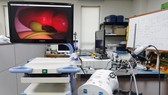 S. Korean scientists develop cancer treatment using LED