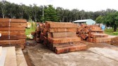 Bắt giữ ô tô chở gỗ lậu quý hiếm ở Khánh Hòa
