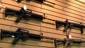 Mỹ: Bang Florida thông qua dự luật kiểm soát súng 