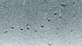 Nghi vấn dấu vết của UFO dưới đáy biển