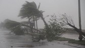Hôm nay 30-10, siêu bão Yutu vào biển Đông