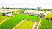Mô hình sản xuất nông nghiệp thuận theo tự nhiên ở Cồn Chim (huyện Châu Thành, tỉnh Trà Vinh)