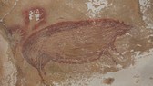 Bức tranh vẽ một con heo rừng, có niên đại từ cách đây tối thiểu 45.500 năm